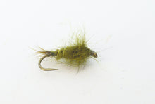Hares Ear - Olive
